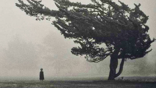 15 Fotos assustadoras que não tem explicação