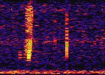 5 Sons estranhos do fundo do mar que não tem explicação