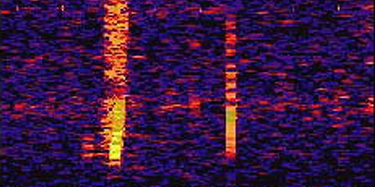 5 Sons estranhos do fundo do mar que não tem explicação