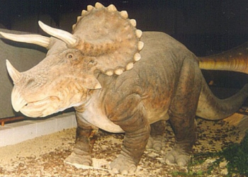 Estudos apontam nova teoria para a extinção dos dinossauros