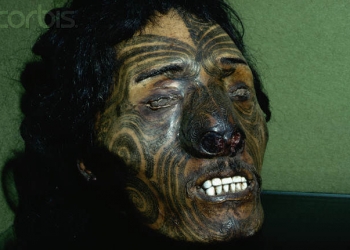 Você sabe quem foram os Mokomokai?