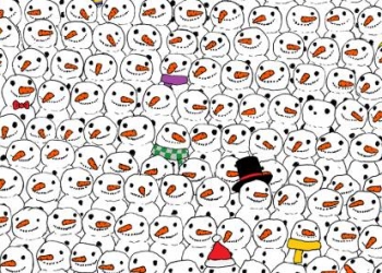 Dudolf e o viral “ache o panda”