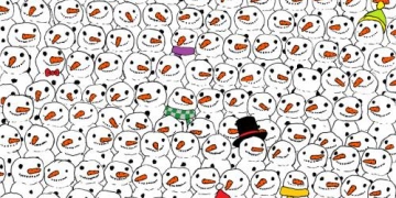 Dudolf e o viral “ache o panda”