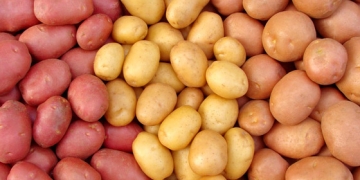 NASA vai testar a plantação de batatas em solo de Marte