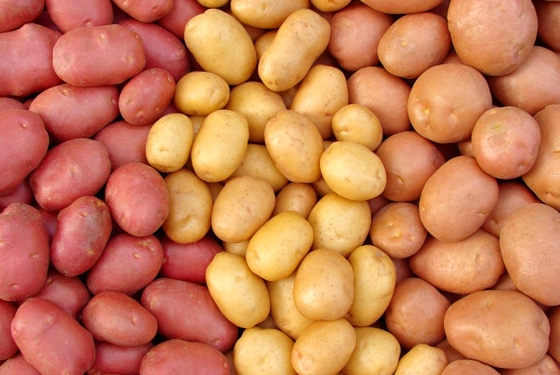 NASA vai testar a plantação de batatas em solo de Marte