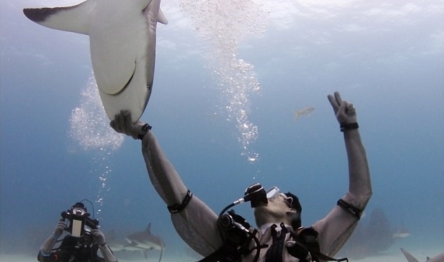 Homem diz ser capaz de hipnotizar tubarões