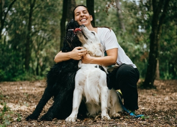 Seu cão pode não gostar de abraços