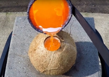 Vídeo mostra reação de cobre derretido despejado em coco
