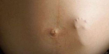 10 Imagens que se passaram por verdadeiras