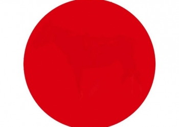 O que você vê dentro do ponto vermelho?