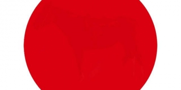 O que você vê dentro do ponto vermelho?