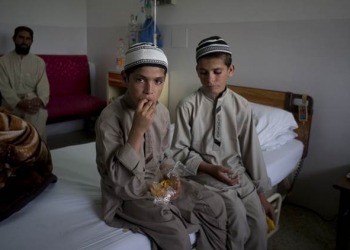 Incrível: esses irmãos são literalmente movidos a luz solar