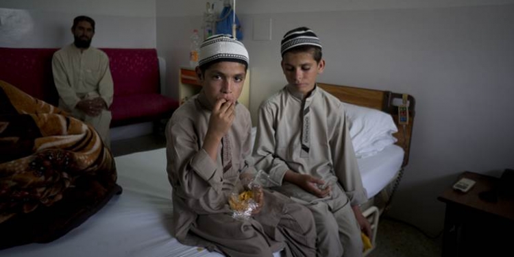 Incrível: esses irmãos são literalmente movidos a luz solar