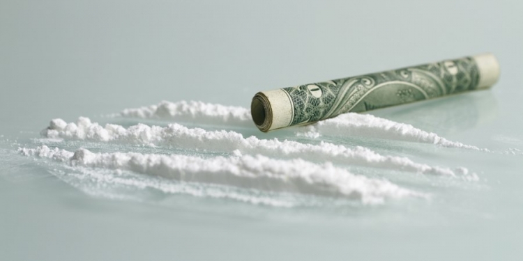 Descubra 10 curiosidades (nojentas) sobre dinheiro