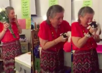 Professora é surpreendida após perder gato de estimação