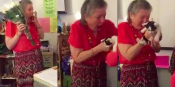 Professora é surpreendida após perder gato de estimação