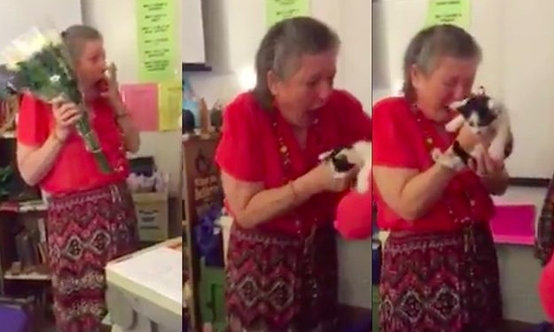 Professora é surpreendida após perder gato de estimação
