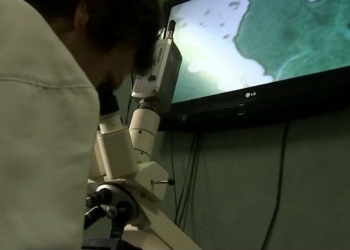 Brasileiro desenvolve vacina contra rinite alérgica