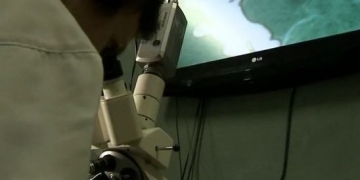 Brasileiro desenvolve vacina contra rinite alérgica