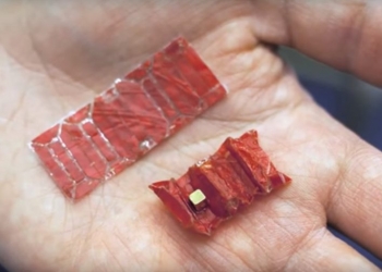 Robô origami é capaz de remover objetos do seu estômago