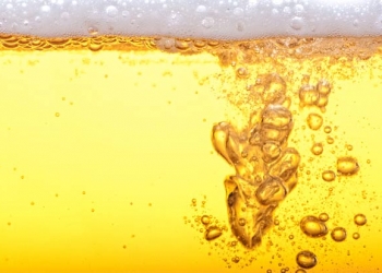 Na Bélgica, cervejoduto é criado para desafogar trânsito