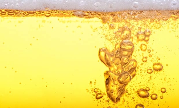 Na Bélgica, cervejoduto é criado para desafogar trânsito
