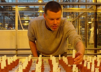 Vegetais plantados em Marte são comestíveis