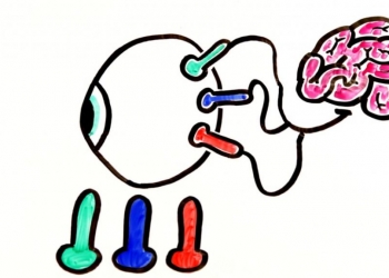 Qual a ciência por trás de ilusões de ótica?