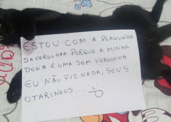 10 plaquinhas da vergonha para te matar de fofura