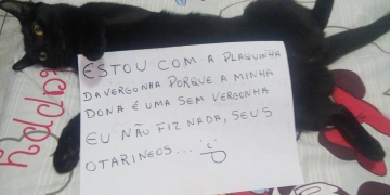 10 plaquinhas da vergonha para te matar de fofura