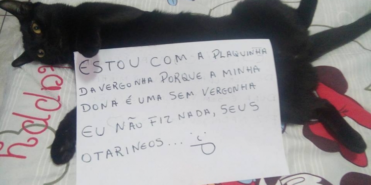 10 plaquinhas da vergonha para te matar de fofura