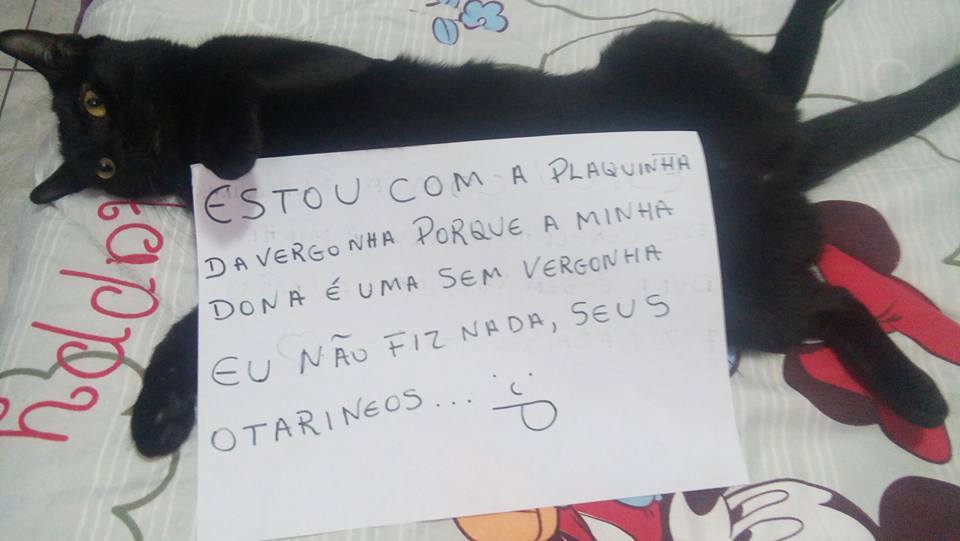 plaquinha-da-vergonha4