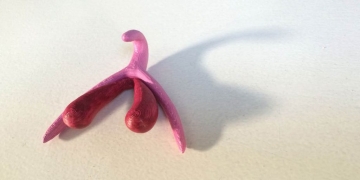 Na França, aulas de educação sexual usarão clitóris 3D