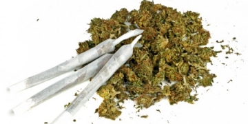 Estudos provaram que maconha te deixa preguiçoso