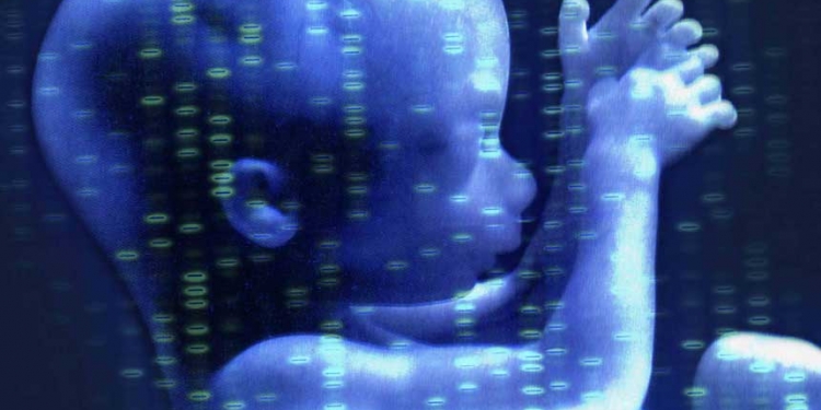 Reino Unido legaliza a modificação genética de bebês