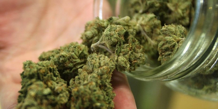 Composto da maconha pode ser eficaz no tratamento de ansiedade