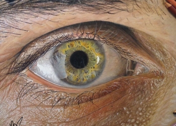 As pinturas de Redoskin mais parecem retratos