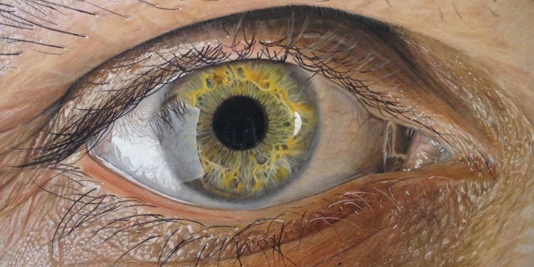 As pinturas de Redoskin mais parecem retratos