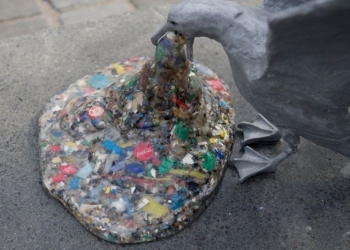 Artista plástico chama atenção para desastre ambiental