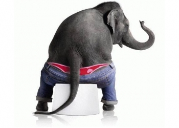 Essa Universidade tem um estudo inteiro sobre a duração da cagada dos mamíferos