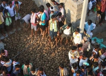 Você conhece o festival indiano da guerra de esterco?