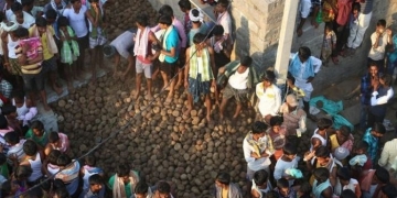 Você conhece o festival indiano da guerra de esterco?