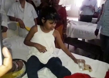 Menina de 8 anos é resgatada após viver com macacos em selva na Índia