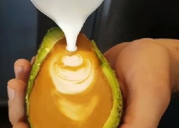 Uma cafeteria na Austrália serve café num abacate e virou moda