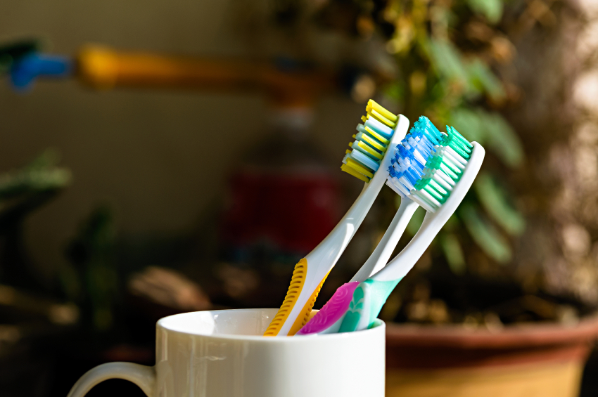 Three Toothbrushes on a cup