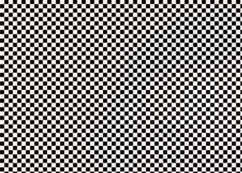 Você consegue enxergar o que se esconde nessa imagem?