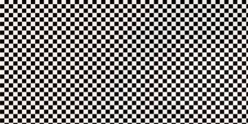 Você consegue enxergar o que se esconde nessa imagem?