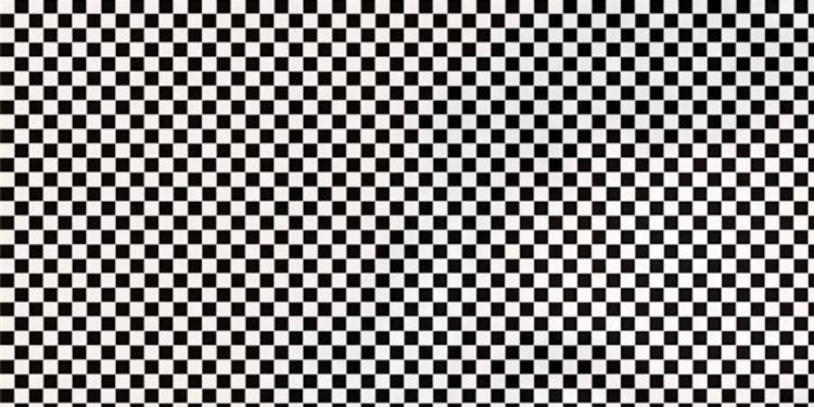 Você consegue enxergar o que se esconde nessa imagem?