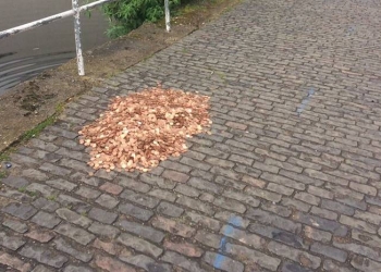 O que acontece quando você deixa 15 mil moedas no meio da rua?