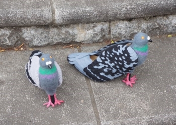O segredo por trás dos calçados de pomba que viralizaram